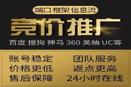 揭秘：成功SEM推广代运营公司案例解析